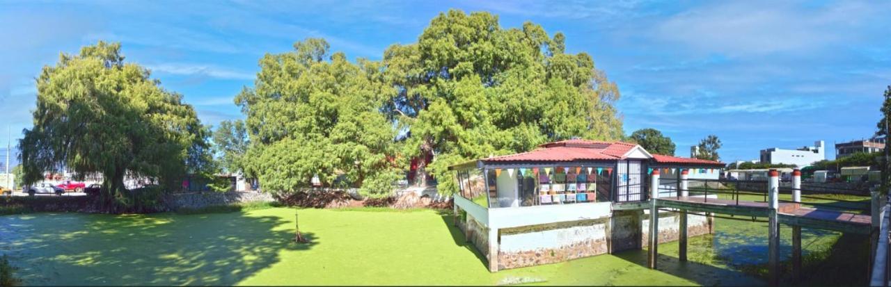 فندق Atotonilco el Grandeفي  Meson De San Luis المظهر الخارجي الصورة